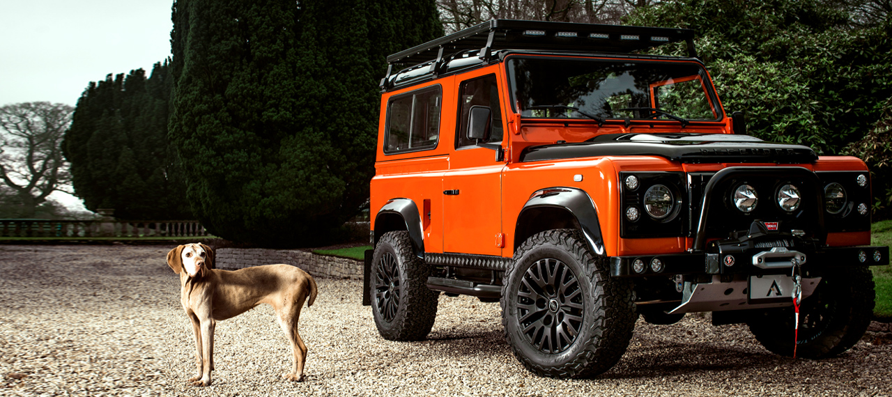 Pheonix Orange and Satin Black D90 with dog to one side.