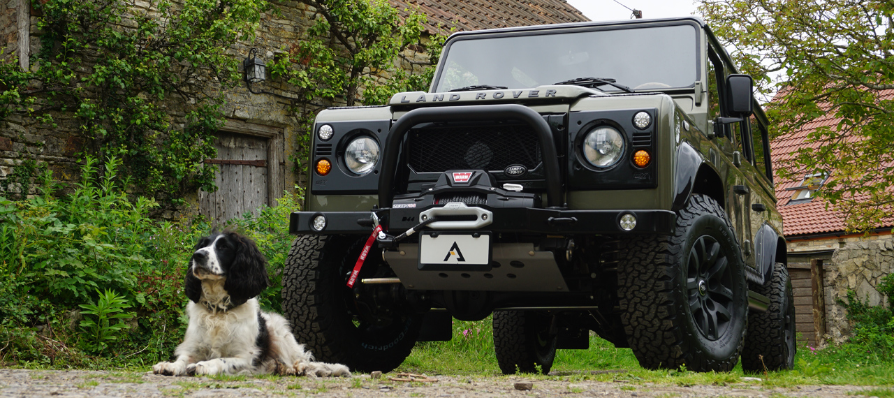 Spaniel sat in-front of a Willow Green Land Rover Defender