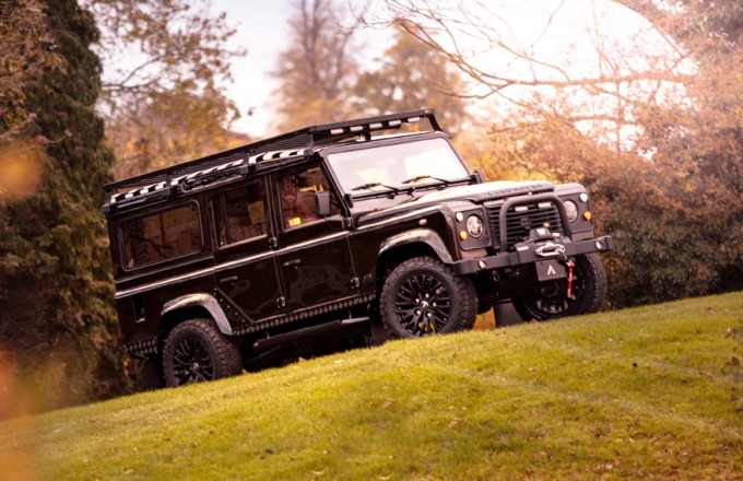 SAVANNAH: <br>A Glimmering Copper Black D110
