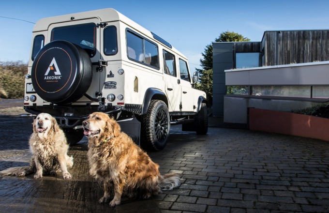Man's Best Friend