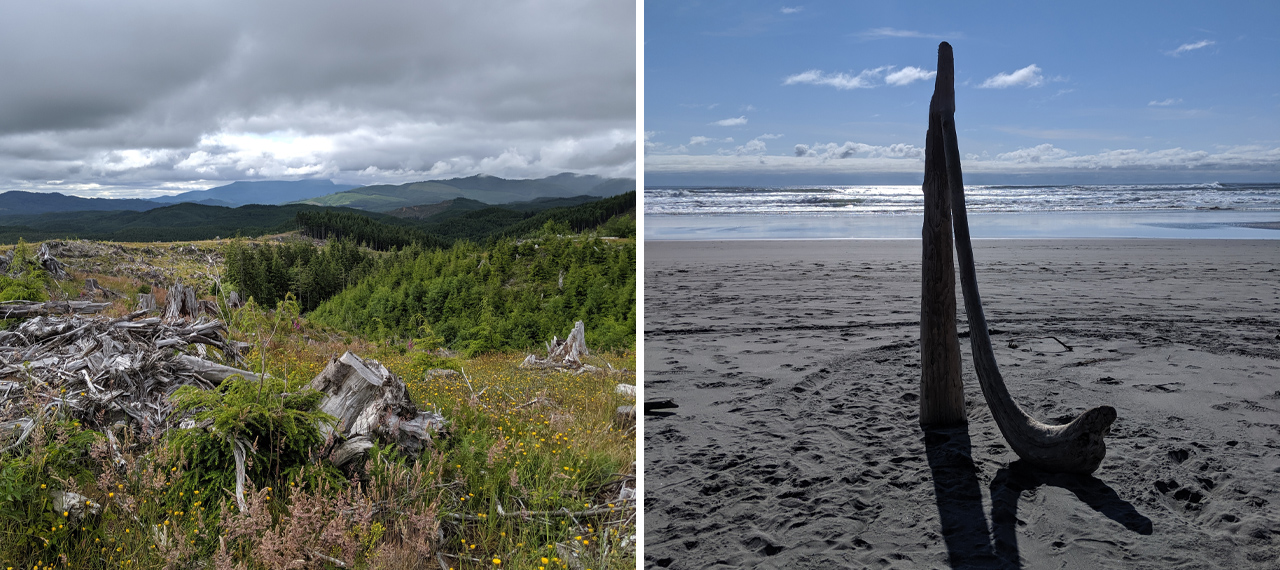 Searose Beach, Oregon