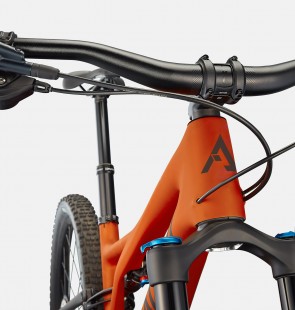 Arkonik x Specialized Stumpjumper Comp